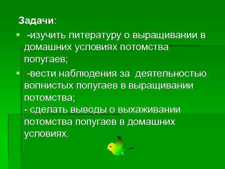 Задачи: § -изучить литературу о выращивании в домашних условиях потомства попугаев; § -вести наблюдения