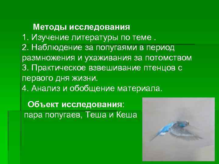 Методы исследования 1. Изучение литературы по теме. 2. Наблюдение за попугаями в период размножения