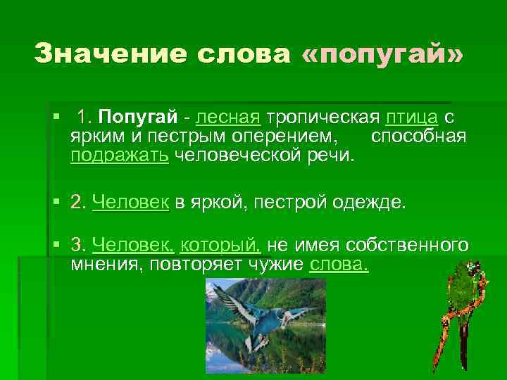 Значение слова «попугай» § 1. Попугай - лесная тропическая птица с ярким и пестрым