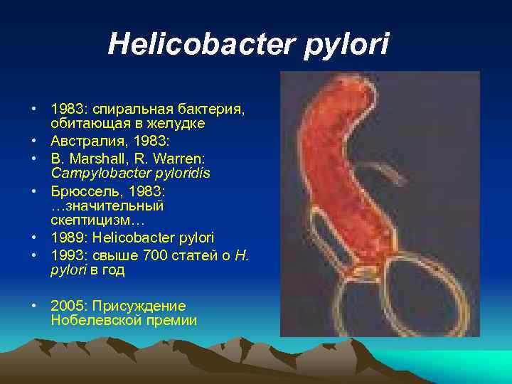 Helicobacter pylori • 1983: спиральная бактерия, обитающая в желудке • Австралия, 1983: • B.
