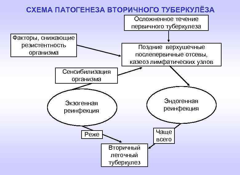 Патогенез псевдотуберкулеза схема