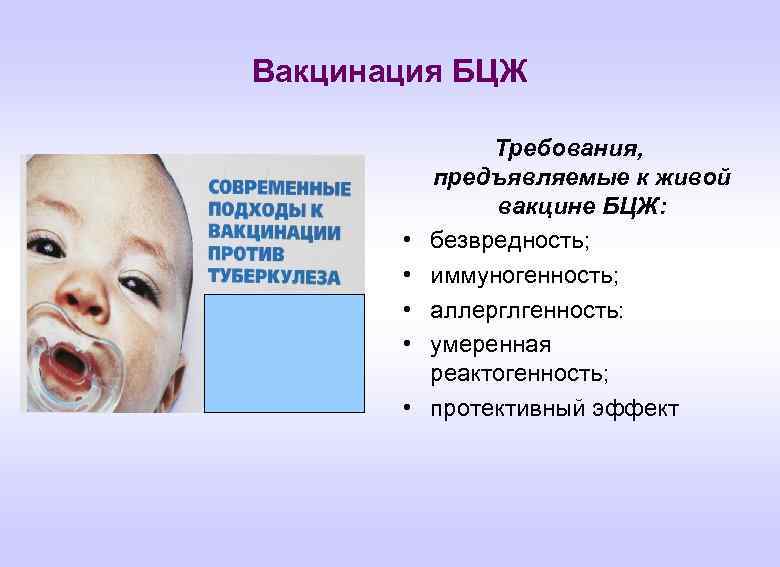 Вакцинация БЦЖ • • • Требования, предъявляемые к живой вакцине БЦЖ: безвредность; иммуногенность; аллерглгенность: