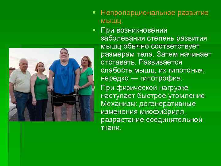 § Непропорциональное развитие мышц. § При возникновении заболевания степень развития мышц обычно соответствует размерам