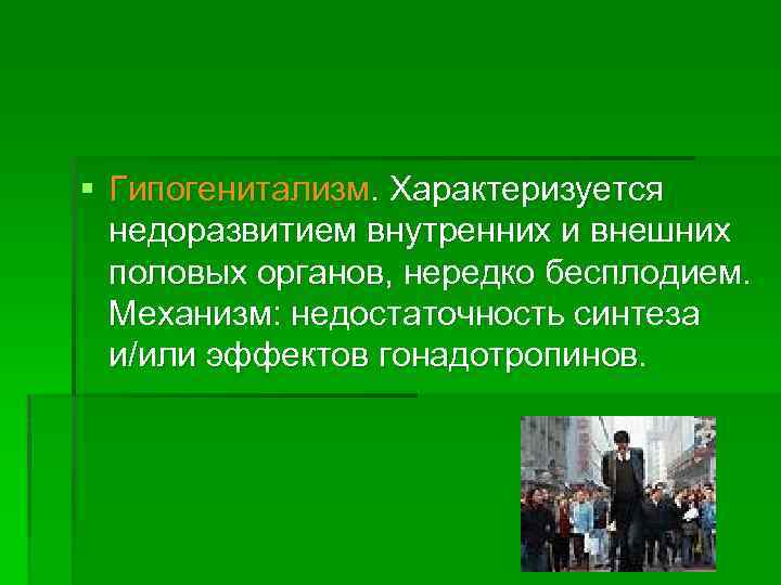 § Гипогенитализм. Характеризуется недоразвитием внутренних и внешних половых органов, нередко бесплодием. Механизм: недостаточность синтеза