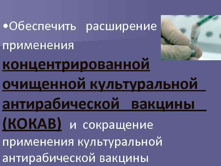 Инфекционные болезни млекопитающих. Прививка кокав от бешенства схема.