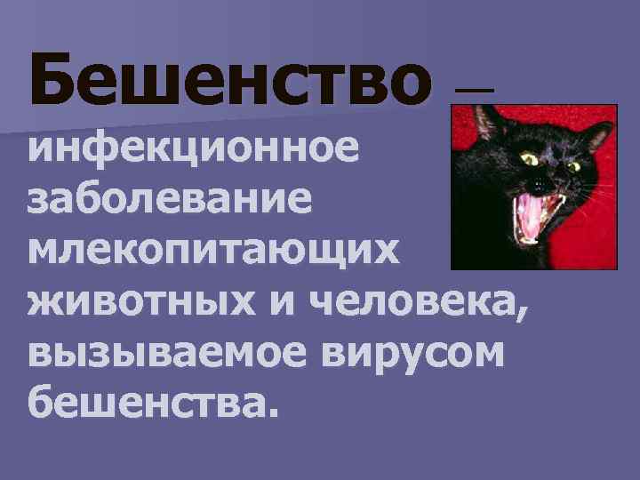 Бешенство — инфекционное заболевание млекопитающих животных и человека, вызываемое вирусом бешенства. 