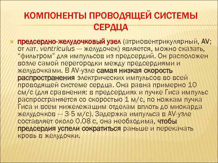 КОМПОНЕНТЫ ПРОВОДЯЩЕЙ СИСТЕМЫ СЕРДЦА предсердно-желудочковый узел (атриовентрикулярный, AV; от лат. ventriculus — желудочек) является,