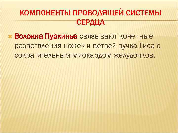 КОМПОНЕНТЫ ПРОВОДЯЩЕЙ СИСТЕМЫ СЕРДЦА Волокна Пуркинье связывают конечные разветвления ножек и ветвей пучка Гиса