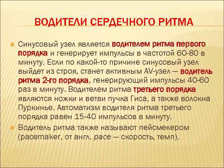 ВОДИТЕЛИ СЕРДЕЧНОГО РИТМА Синусовый узел является водителем ритма первого порядка и генерирует импульсы в