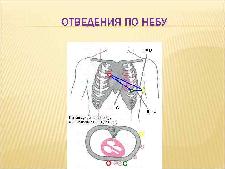 ОТВЕДЕНИЯ ПО НЕБУ 