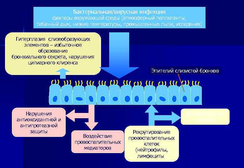 Бактериальная/вирусная инфекции факторы окружающей среды (атмосферный поллютанты, табачный дым, низкие температуры, промышленные пыли, испарения)