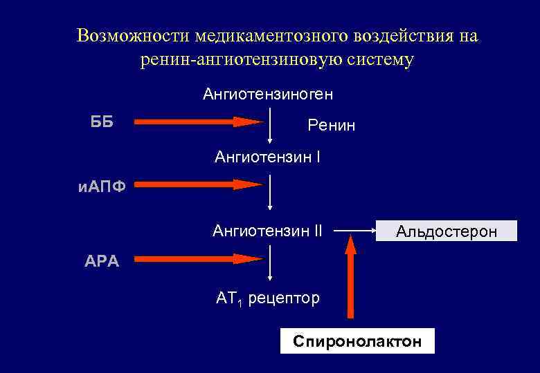 Возможности медикаментозного воздействия на ренин-ангиотензиновую систему Ангиотензиноген ББ Ренин Ангиотензин I и. АПФ Ангиотензин