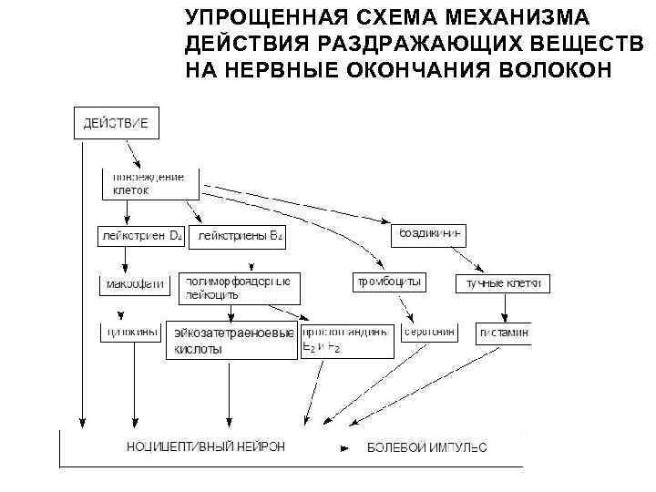 УПРОЩЕННАЯ СХЕМА МЕХАНИЗМА ДЕЙСТВИЯ РАЗДРАЖАЮЩИХ ВЕЩЕСТВ НА НЕРВНЫЕ ОКОНЧАНИЯ ВОЛОКОН 