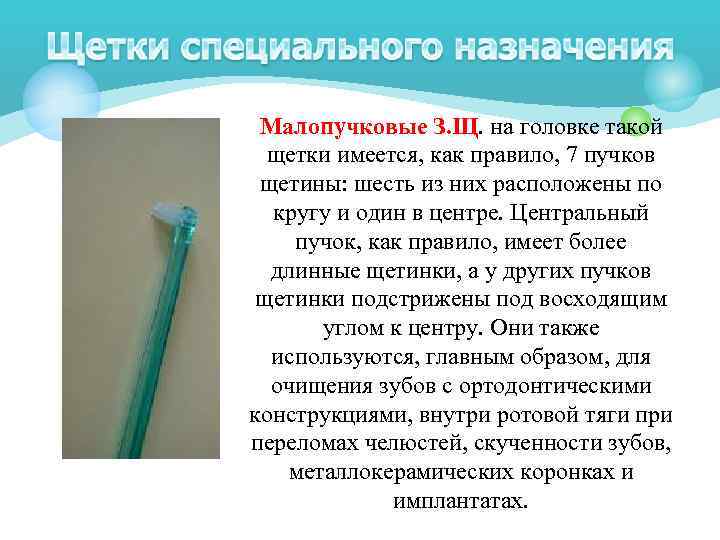 Малопучковые З. Щ. на головке такой щетки имеется, как правило, 7 пучков щетины: шесть