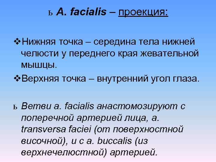 ь A. facialis – проекция: v. Нижняя точка – середина тела нижней челюсти у