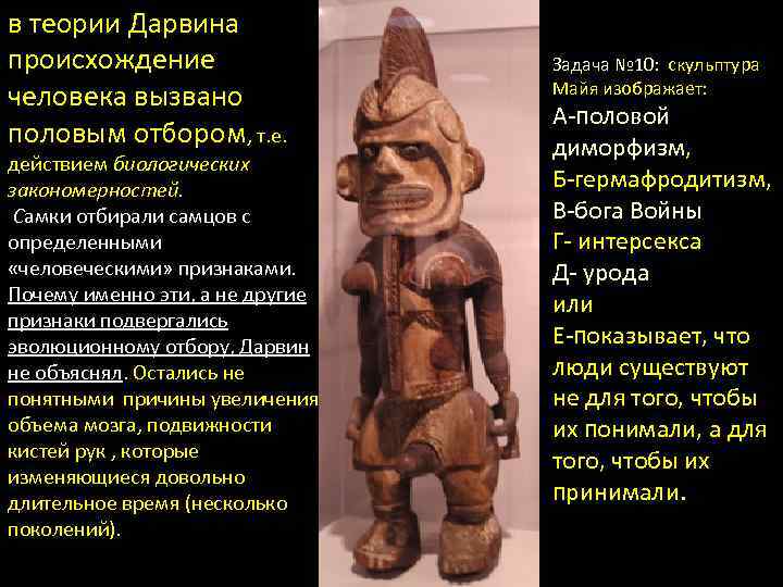 в теории Дарвина происхождение человека вызвано половым отбором, т. е. действием биологических закономерностей. Самки