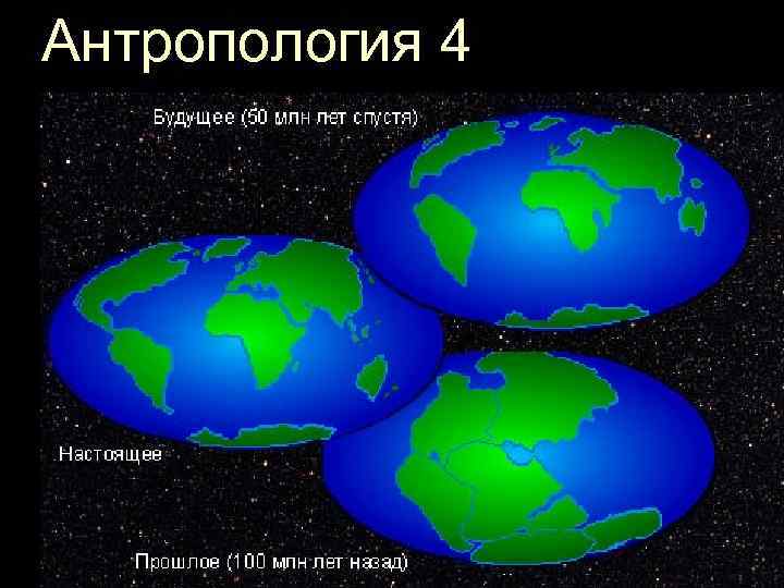 Антропология 4 