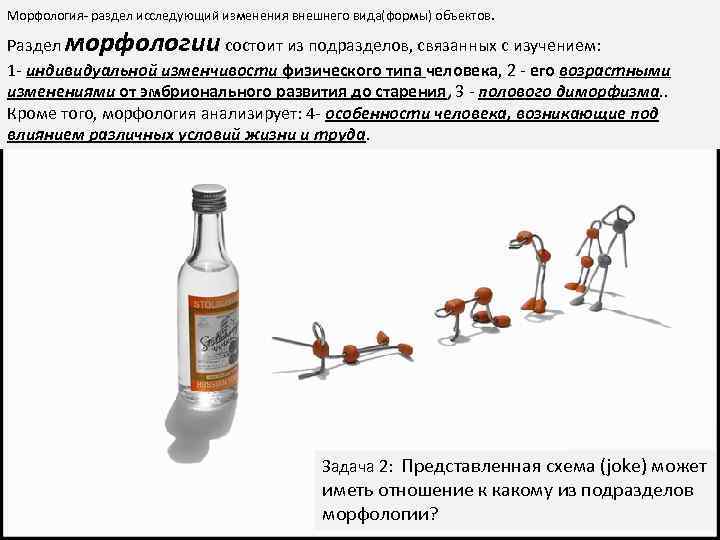 Морфология- раздел исследующий изменения внешнего вида(формы) объектов. Раздел морфологии состоит из подразделов, связанных с
