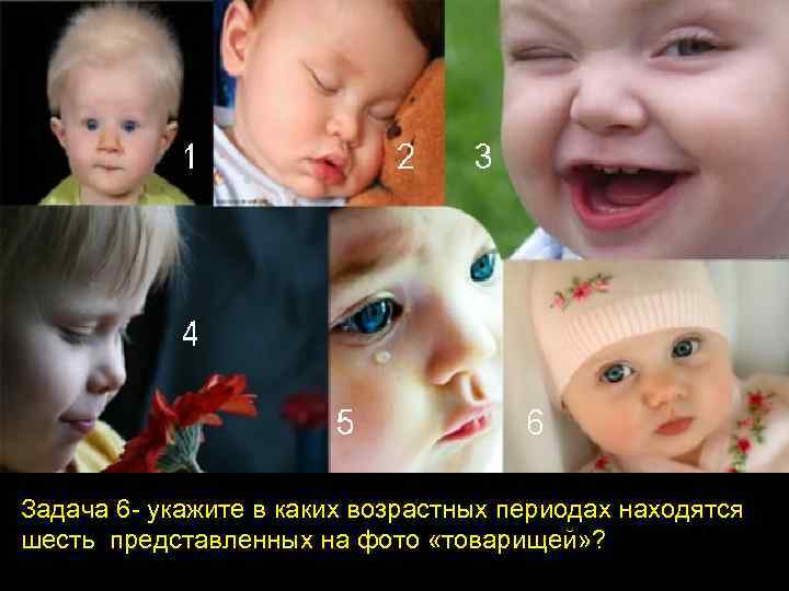Задача 6 укажите в каких возрастных периодах находятся шесть представленных на фото «товарищей» ?