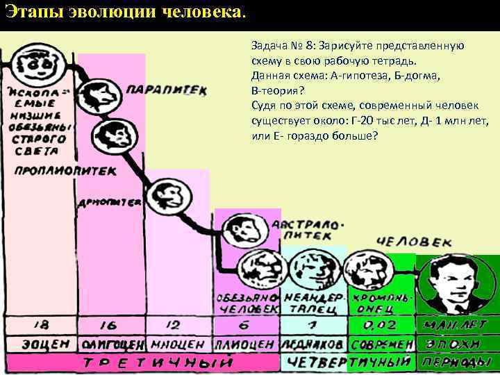 Этапы эволюции человека. Задача № 8: Зарисуйте представленную схему в свою рабочую тетрадь. Данная