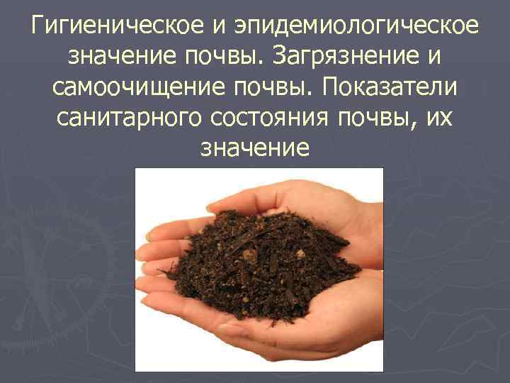 Гигиеническое и эпидемиологическое значение почвы. Загрязнение и самоочищение почвы. Показатели санитарного состояния почвы, их