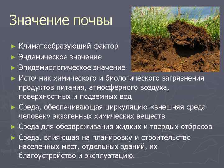 Значение почвы Климатообразующий фактор ► Эндемическое значение ► Эпидемиологическое значение ► Источник химического и