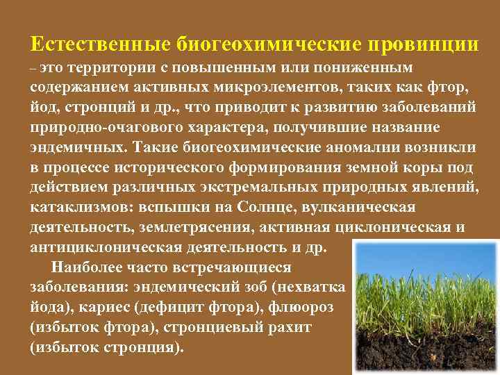 Естественные биогеохимические провинции – это территории с повышенным или пониженным содержанием активных микроэлементов, таких