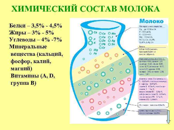 ХИМИЧЕСКИЙ СОСТАВ МОЛОКА Белки – 3, 5% - 4, 5% Жиры – 3% -