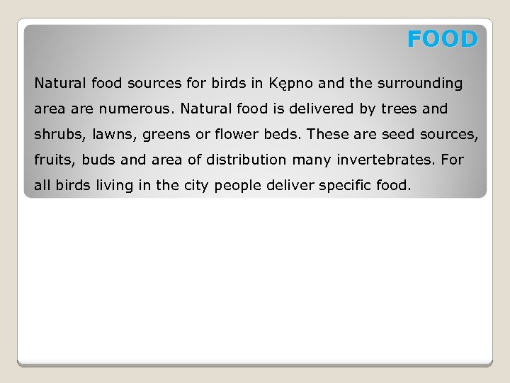 FOOD Natural food sources for birds in Kępno and the surrounding area are numerous.