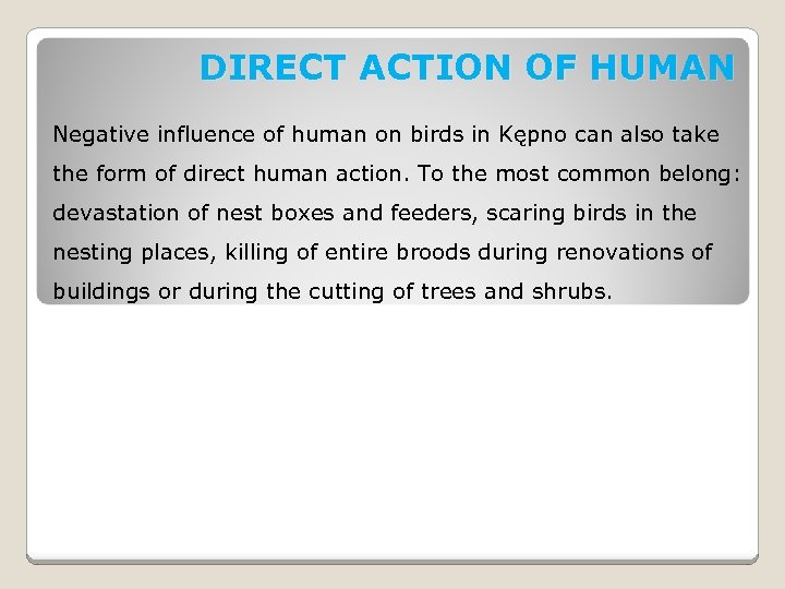 DIRECT ACTION OF HUMAN Negative influence of human on birds in Kępno can also