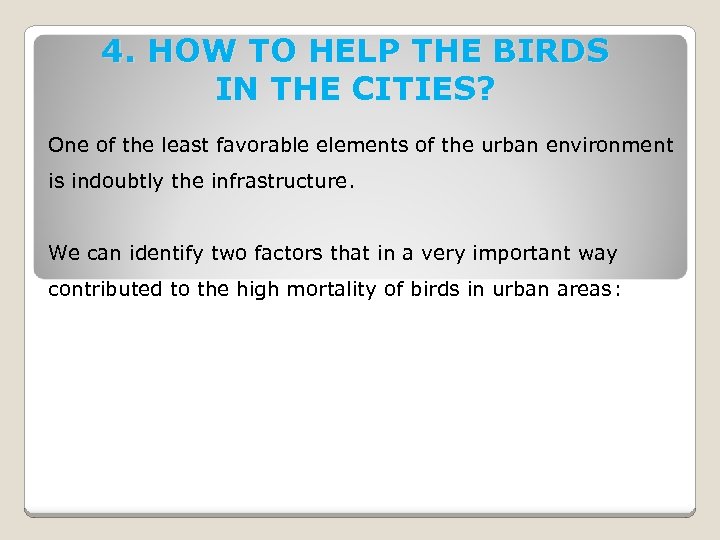 4. HOW TO HELP THE BIRDS IN THE CITIES? One of the least favorable