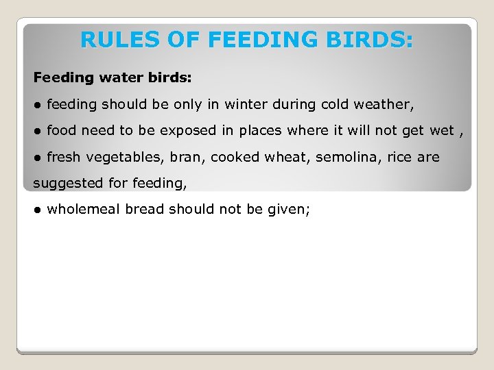 RULES OF FEEDING BIRDS: Feeding water birds: ● feeding should be only in winter