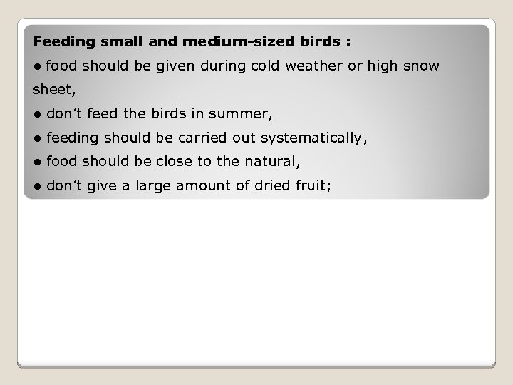 Feeding small and medium-sized birds : ● food should be given during cold weather