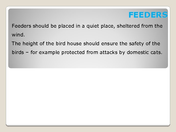 FEEDERS Feeders should be placed in a quiet place, sheltered from the wind. The