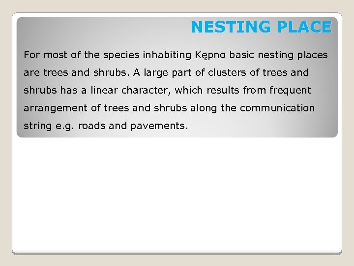 NESTING PLACE For most of the species inhabiting Kępno basic nesting places are trees