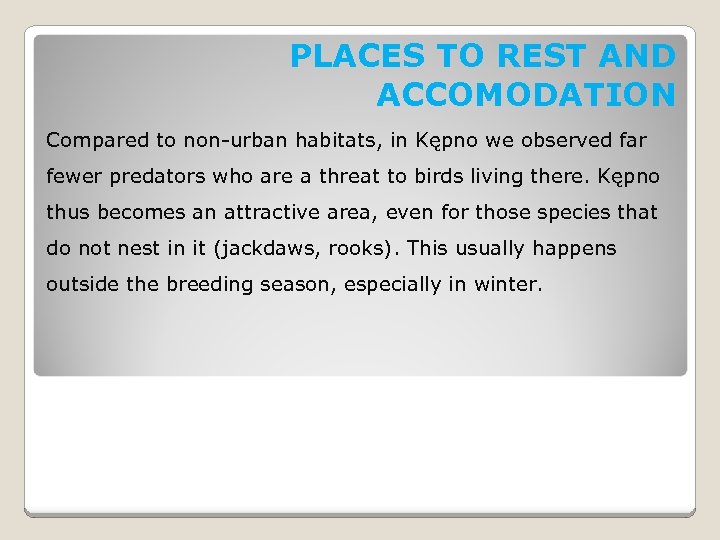 PLACES TO REST AND ACCOMODATION Compared to non-urban habitats, in Kępno we observed far