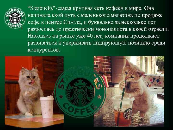 “Starbucks”-самая крупная сеть кофеен в мире. Она начинала свой путь с маленького магазина по