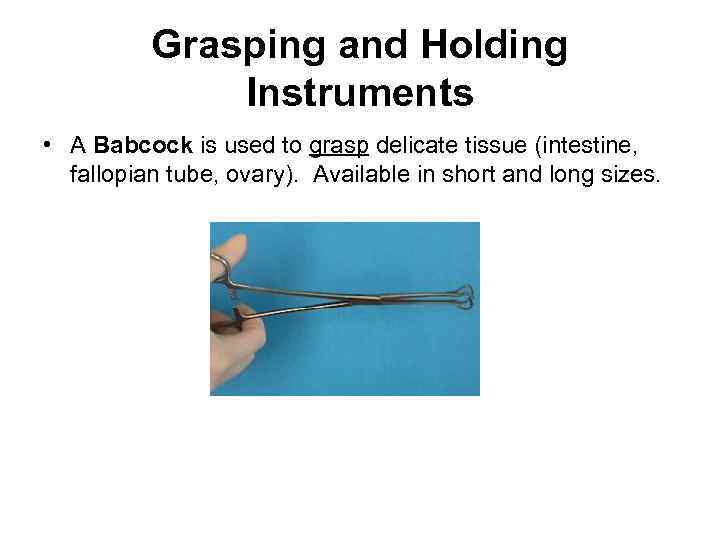 Grasping and Holding Instruments • A Babcock is used to grasp delicate tissue (intestine,