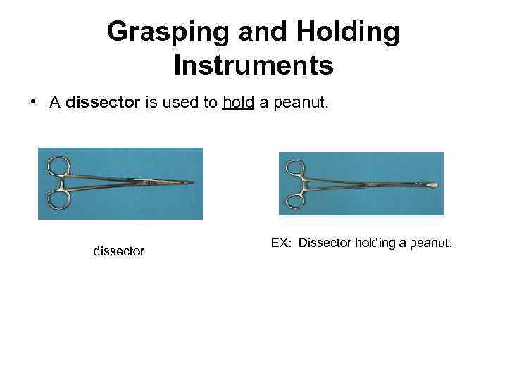 Grasping and Holding Instruments • A dissector is used to hold a peanut. dissector