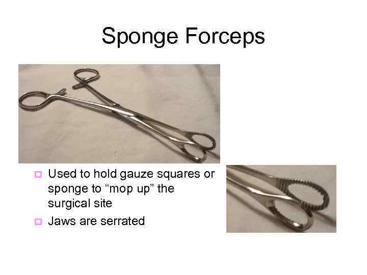 Sponge Forceps p p Used to hold gauze squares or sponge to “mop up”