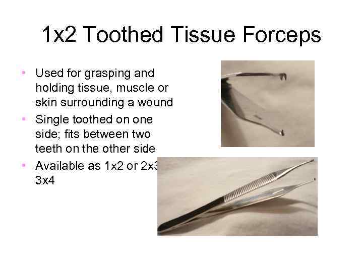 1 x 2 Toothed Tissue Forceps • Used for grasping and holding tissue, muscle