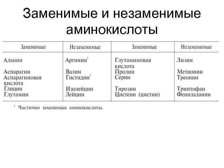 Заменимые и незаменимые аминокислоты 
