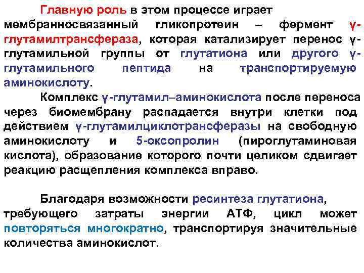 Главную роль в этом процессе играет мембранносвязанный гликопротеин – фермент γглутамилтрансфераза, которая катализирует перенос