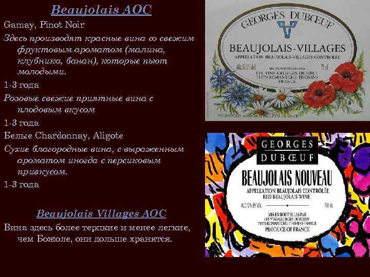 Beaujolais AOC Gamay, Pinot Noir Здесь производят красные вина со свежим фруктовым ароматом (малина,