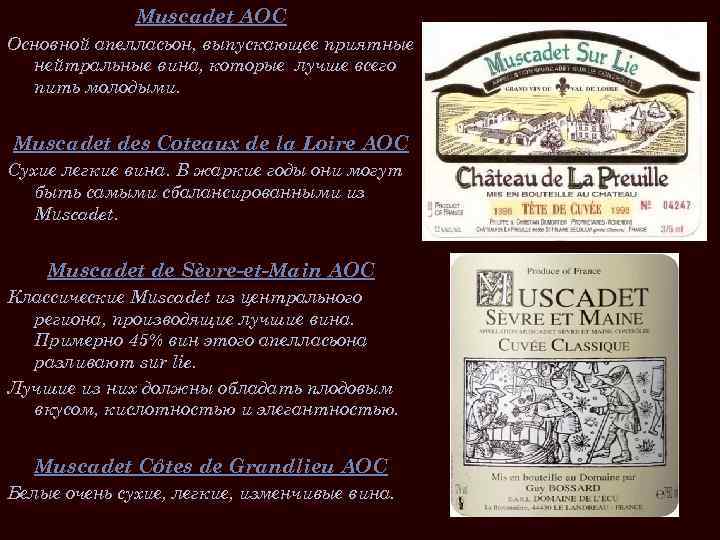 Muscadet AOC Основной апелласьон, выпускающее приятные нейтральные вина, которые лучше всего пить молодыми. Muscadet