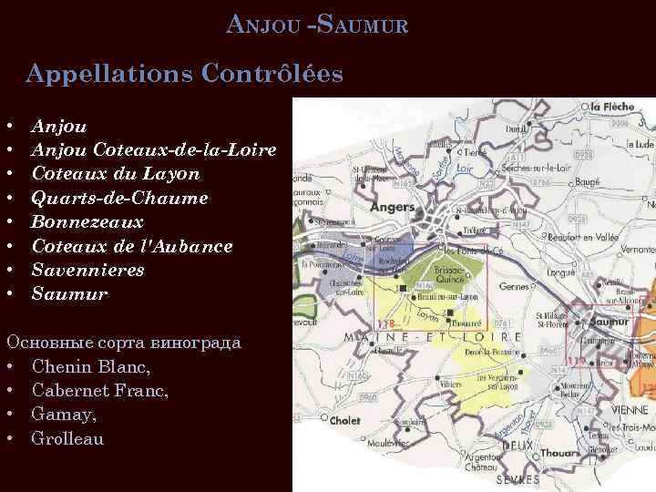 ANJOU -SAUMUR Appellations Contrôlées • • Anjou Coteaux-de-la-Loire Coteaux du Layon Quarts-de-Chaume Bonnezeaux Coteaux