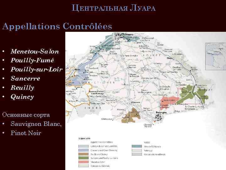 ЦЕНТРАЛЬНАЯ ЛУАРА Appellations Contrôlées • • • Menetou-Salon Pouilly-Fumé Pouilly-sur-Loir Sancerre Reuilly Quincy Основные