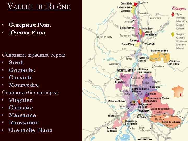 VALLÉE DU RHÔNE • Северная Рона • Южная Рона Основные красные сорта: • Sirah