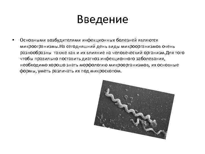 Введение • Основными возбудителями инфекционных болезней являются микроогранизмы. На сегодняшний день виды микроорганизмов очень