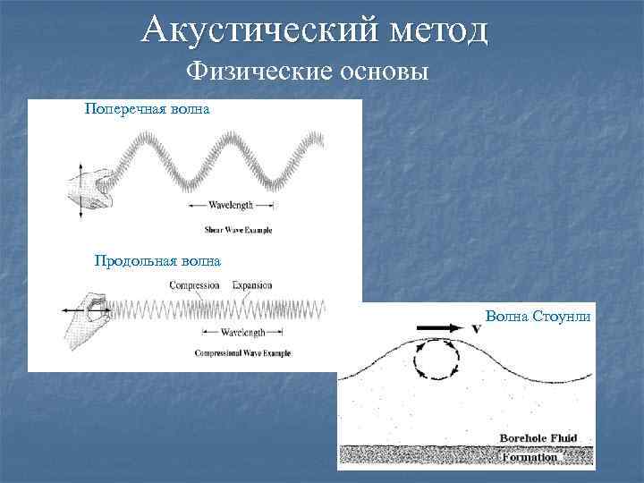 Примеры продольных волн. Поперечная волна и продольная волна. Продольные и поперечные волны примеры. Продольные волны в природе. Поперечные волны рисунок.